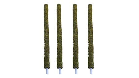 DR ARYA Moss Stick | Mesh Moss Stick | Moss Stick for Plant | Climbing Indoors | House and Plant Creepers Support |1.5ft Each - (Set of 4)