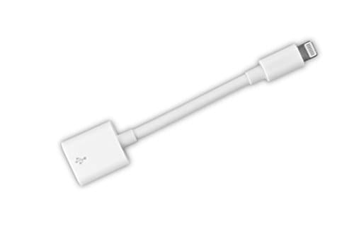 Super Short Lightning Extension Cable (10 cm)