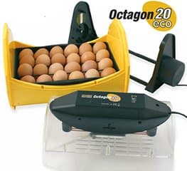 Octagon 20 ECO Incubator with egg turning cradle