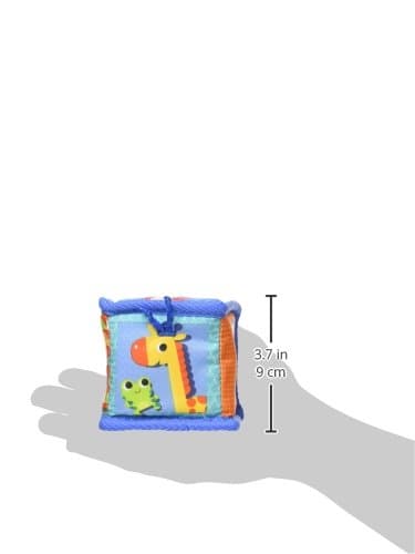 Bright Starts Grab and Stack Blocks Toy