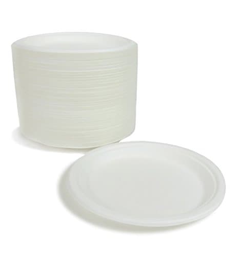 Repurpose 100% Compostable Plant-Based Bagasse Plates, 9 Inch, 125 Count
