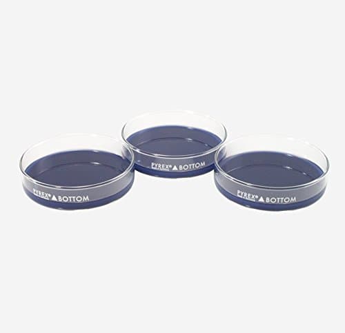 DD-90-S-BLU-3PK Large Dissection Petri Dish, Pack of 3 Dishes, Dark Blue, 93 mm D x 22 mm H