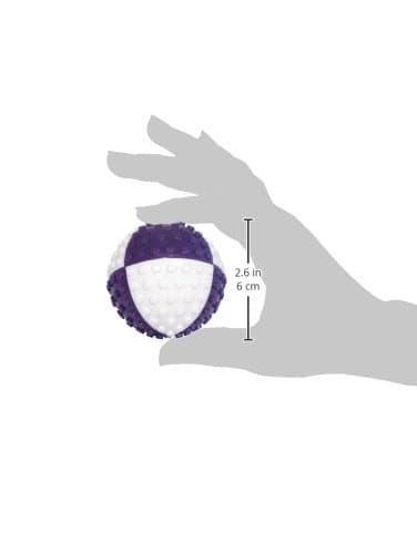 Vision Smart Visi Ball Dog Toy