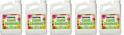Maxicrop Liquid Seaweed (Kelp Extract, 32 Oz (5-(Pack))