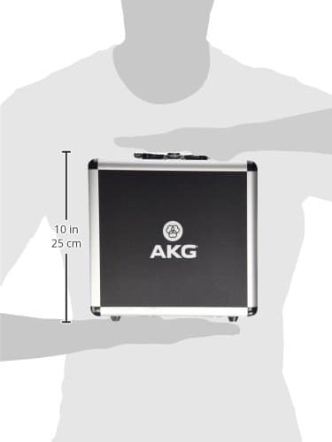 AKG P220