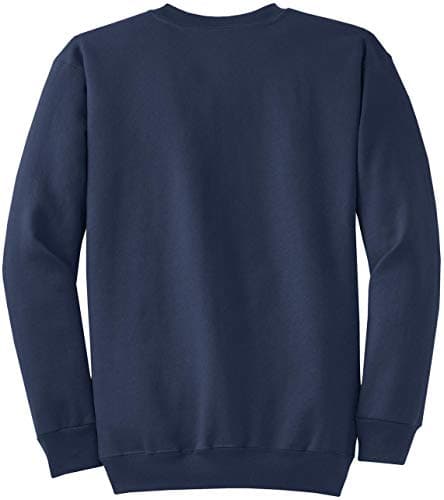 Star Labs Sweatshirt - Star Laboratories Crewneck