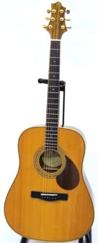 Greg Bennett D 15E Electro Acoustic Guitar - Natural