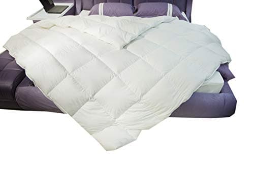 Natural GOOSE DOWN Feather Comforter Insert Inner,Soild White,Twin/Twin xl Size