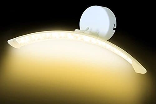 Whiteray Picture light Modern Lighting Up and Down LED Wall Light, Led Included (Pack of 1)