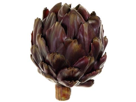 Artichoke (Pack of 12)