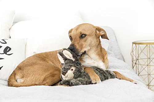 Walter the Wabbit Tuff Dog Toy