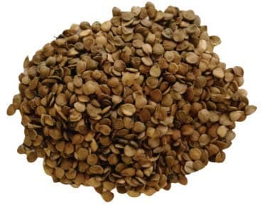 Morro or Jicaro Seed - Semilla de Jicaro o Morro || Package of 7lb ($ 0.2232/ Ounce)