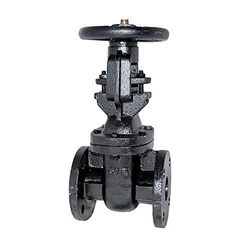 3'' C.I. OS&Y Gate Valve - 1 pcs