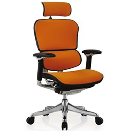 Ergohuman Executive Chairs (with Black Frame. Orange Fabric)