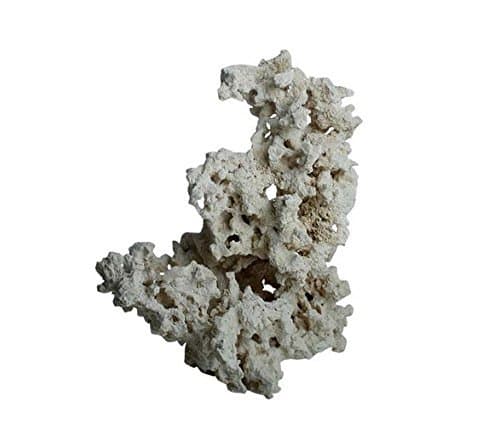 MarcoRocks Key Largo Dry Rock 10 Lb box