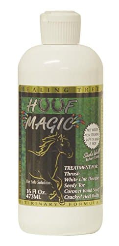 HUUF MAGIC-850 Huuf Magic Thrush Antiseptic, 16 oz