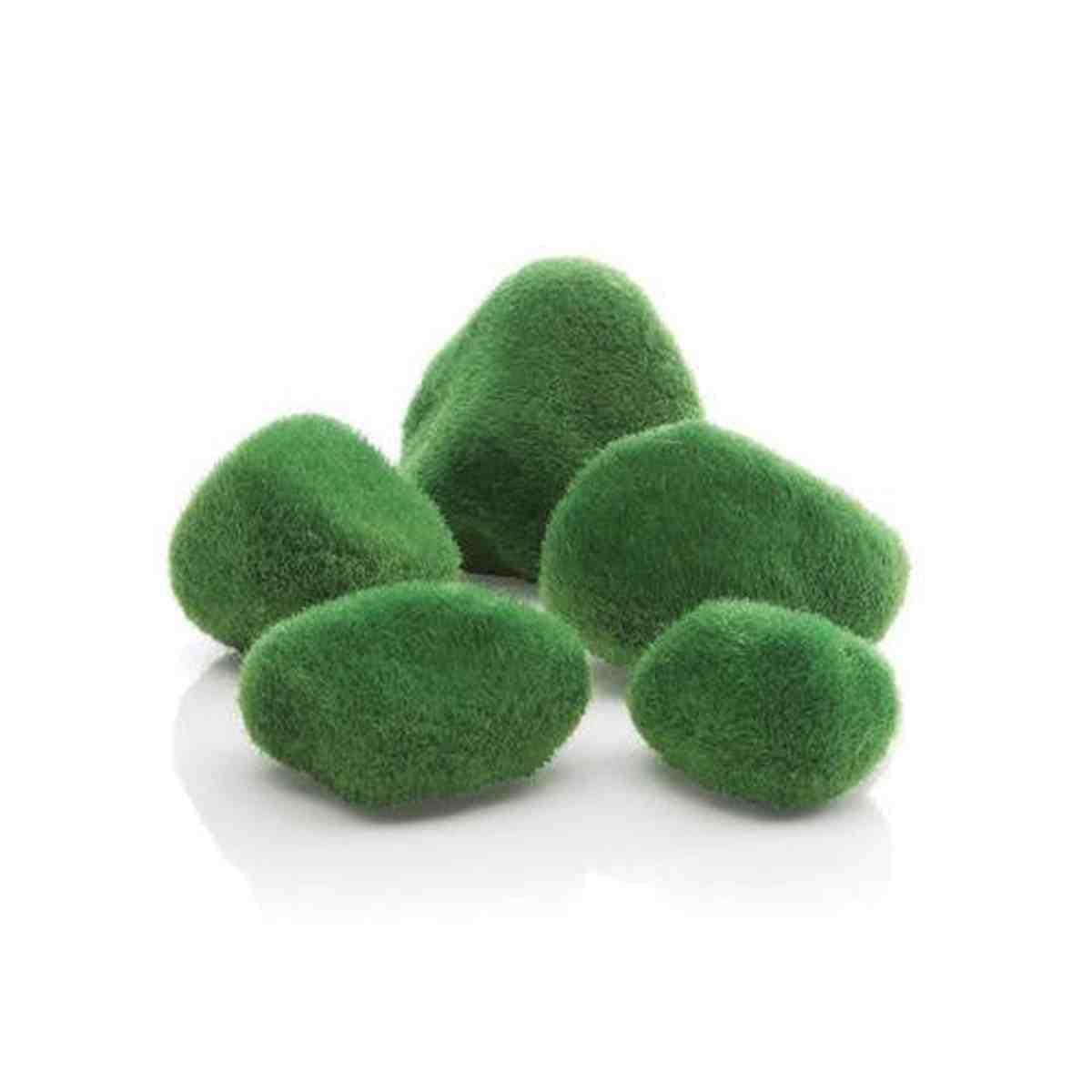 46084.0 Moss Pebbles Aquariums