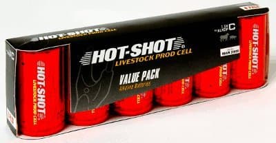 Replacement Battery Pack Six C Size Alkaline Batteries (Item No. ALKDP2)