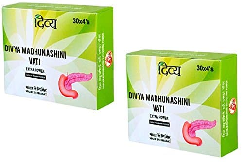 Divya Madhunashini Vati Extra Power 120 Tablets x 2 Packs