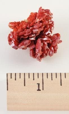3495920 - Vanadinite Crystal Group - Morocco - Vanadinite Crystal Group - Each