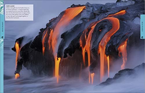 Ocean: A Visual Encyclopedia (DK Children's Visual Encyclopedias)