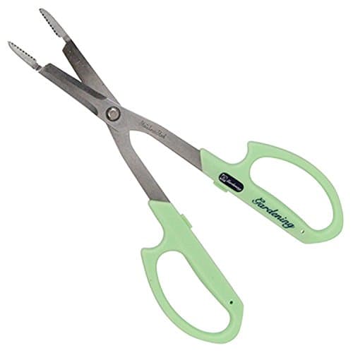 Caterpillar Tweezers No.1287