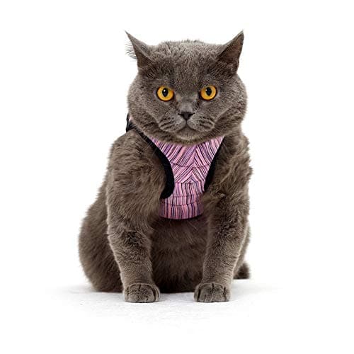 Fooubaby Soft Cushion Cat Harness with Leash for Walking Training Outdoor Escape Proof Padded Cat Vest Adjustable and Comfort for Small Medium Large Cats Pet Kitten Puppy
