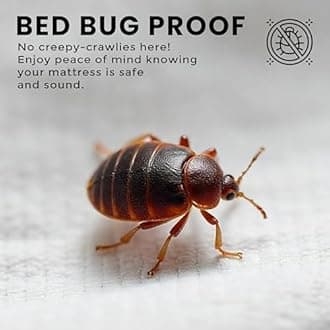 Utopia Bedding Premium Waterproof Bed Bug Mattress Cover, Full Zippered Mattress Protector, 12 Inches Deep, Dust Mite Proof 6-Sided Mattress Encasement for Bed