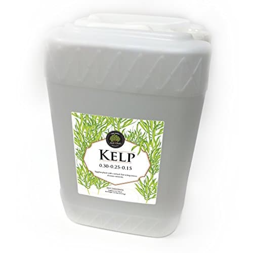 Kelp Liquid Fertilizer, 6-Gallon Bottle