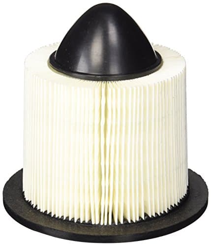 Champion CAC8039 Conical/Radial Air Filter