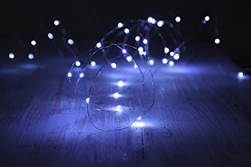 gresonic Battery Operated Fairy Lights with 20 Micro White LEDs on Silver Wire (20LED, Cool White)