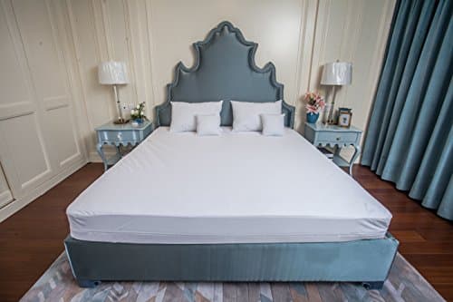 PURE PROTECTOR Zippered Mattress Encasement,Bed Bug Proof, Dust Mite Proof, Waterproof, Breathable, Noiseless, Vinyle Free (Twin)