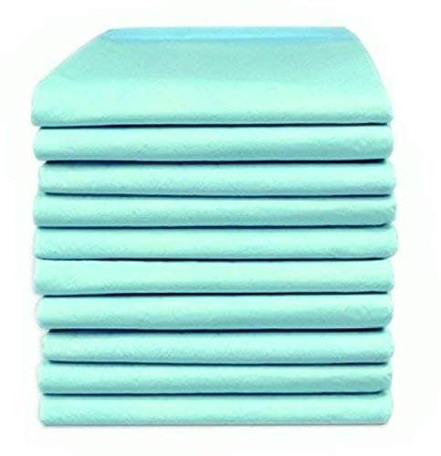 Wellness Pulse Mattress Pad Protector Under Pads (Assorted, 60 X 90 Cm, Large) 10 Sheets