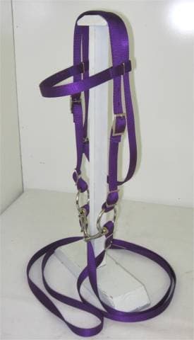 Pony Complete Bridle, Nylon, with BIT Purple