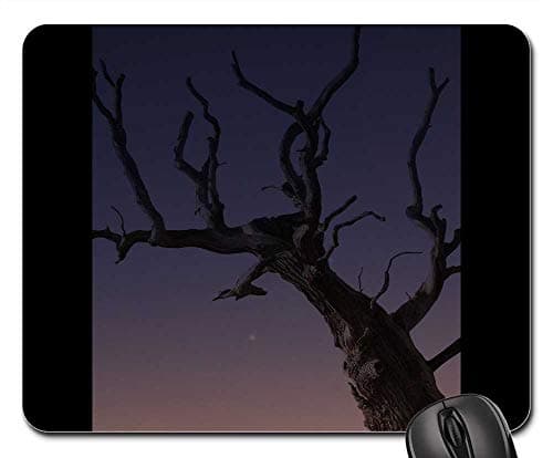 Mouse Pad - Tree Plant Old Dry Dead Branches Wood Bare