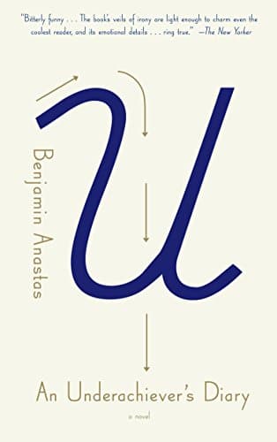 An Underachiever's Diary: A Novel Paperback – July 28, 2009