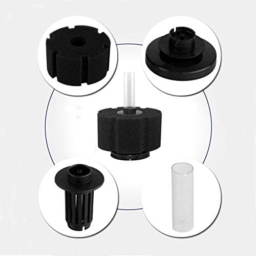 Sponge Filter- Large