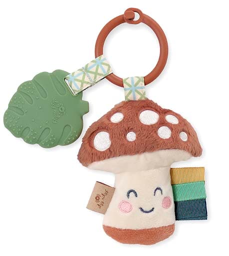 Infant Toy and Teether