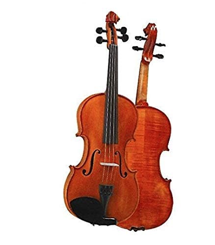 D Z Strad Violin Model 101 Full Size 4/4 Handmade Violin with Case, Bow, Shoulder Rest, and Rosin