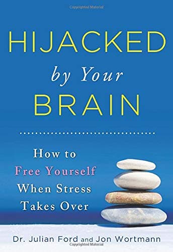 Sourcebooks Explore Hijacked by Your Brain: How to Free Yourself When Stress Takes Over