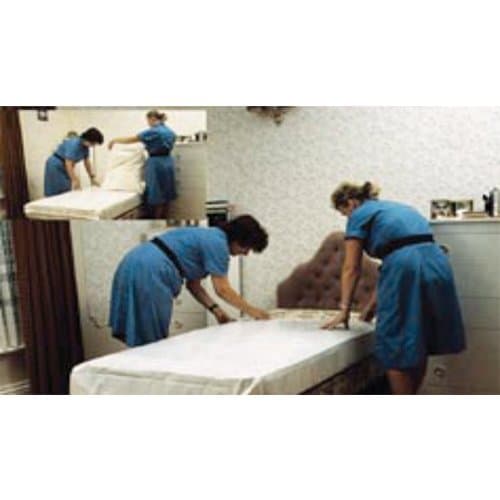 Dri-Tech Bed Protection Range - 100% Waterproof, Fire Retardant, and Easy to Clean - Ideal for Home, Hospital, and Nursing Homes - Pillow Case Cover - Pack of 2