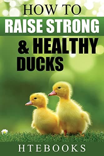 How To Raise Strong & Healthy Ducks: Quick Start Guide ("How To" Books) Paperback – May 7, 2016