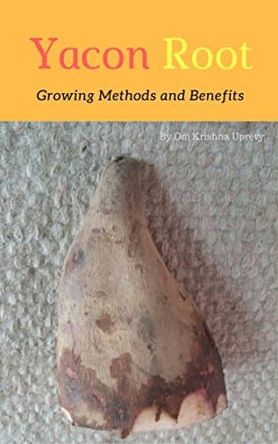 Yacon Root: Growing Methods and Benefits