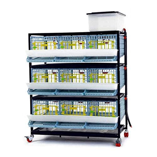 Quail Egg & Farming Cage, Nine Compartment, Three Floors, First in The World Patented Design