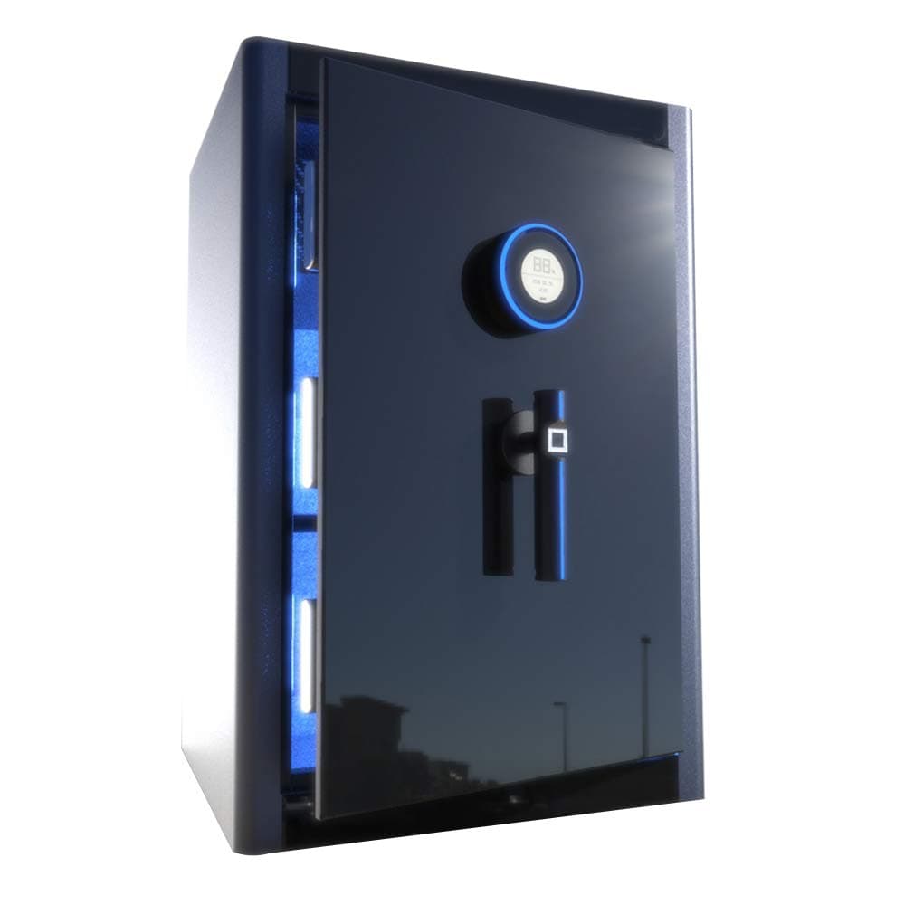 HYYQG Security Safe, Biometric Fingerprint Security Safe Led Display Smart Keypad Key Lock Protect Guns Jewelry Cash Ideal For Home Office Hotel