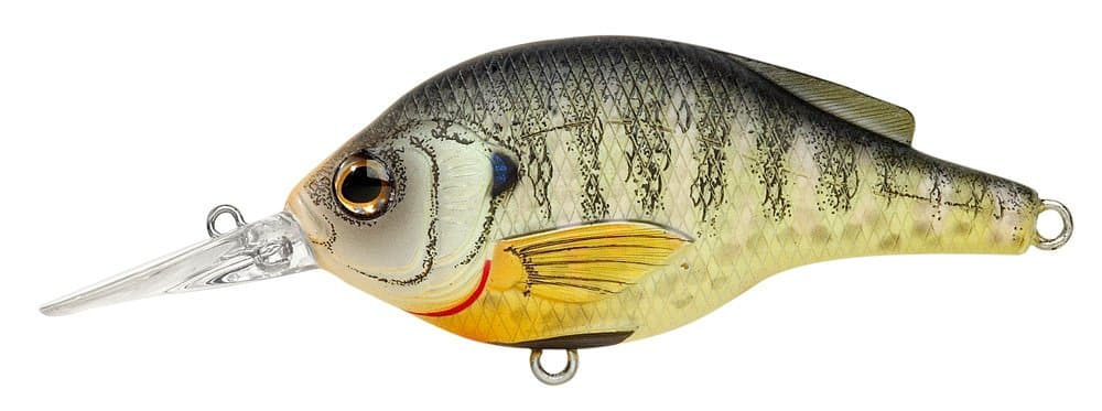 LIVETARGET Bluegill Roundbill Shallow Dive 2 3/4"