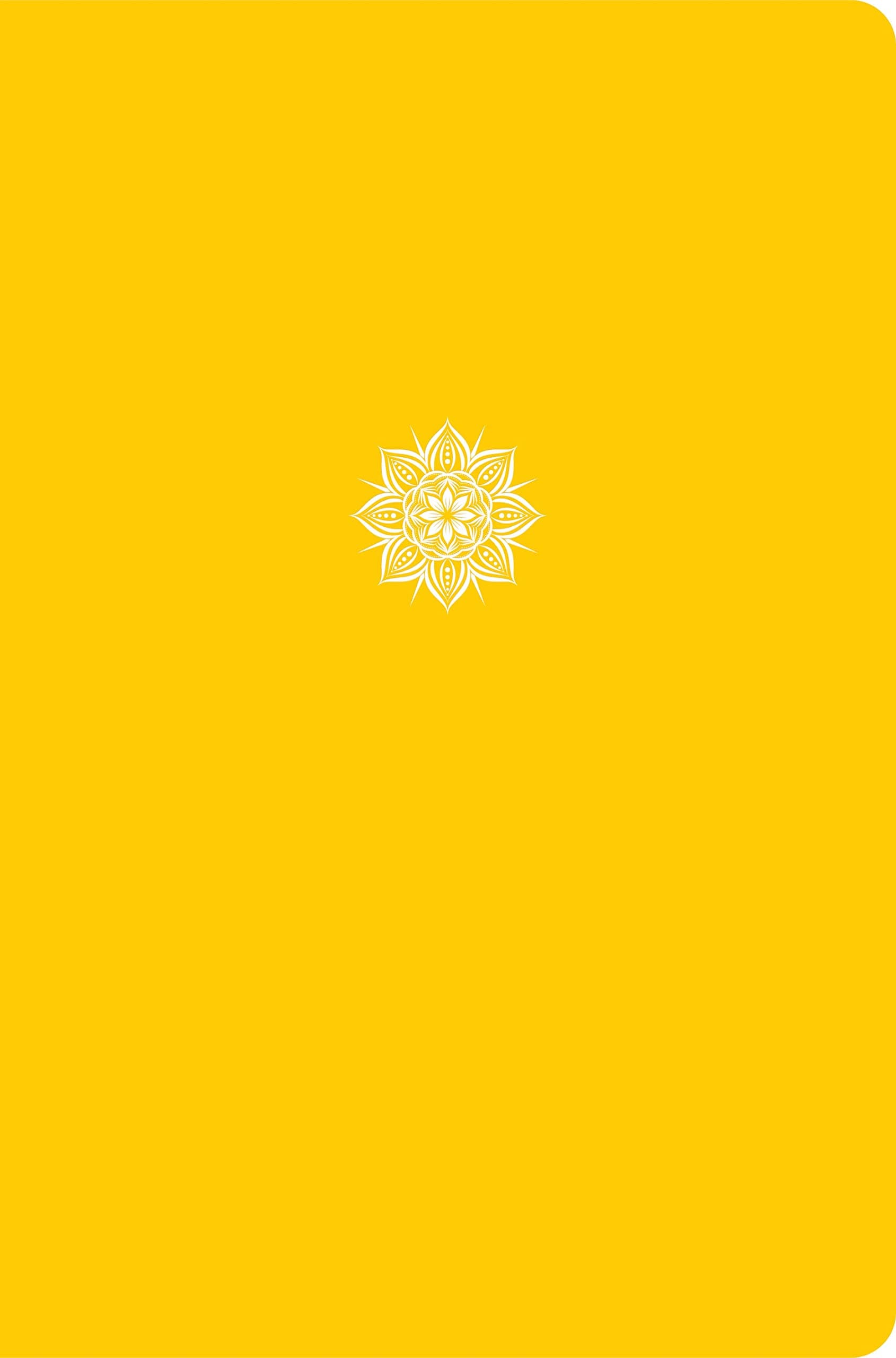 CSB Everyday Study Bible, Yellow Color-Pop, Global