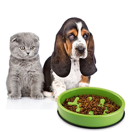 AlphaMY Unique fish bone design Fun Feeder Interactive Feed Bowl Stop Bloat from Eating Too Fast Anti-gulping Pet Food Slow Feeder Dog Bowl,Eco-friendly