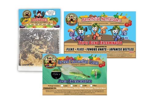 General Predator Garden Pack 1,500 Ladybugs Plus 1,000 Lacewing Eggs Plus 5 Million Hb/Sc/Sf Nematodes