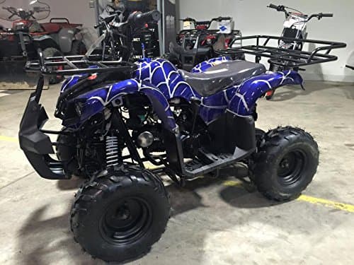 TAO TAO Model # 125D ATV 110cc Fully Auto with Reverse - SPIDER BLUE